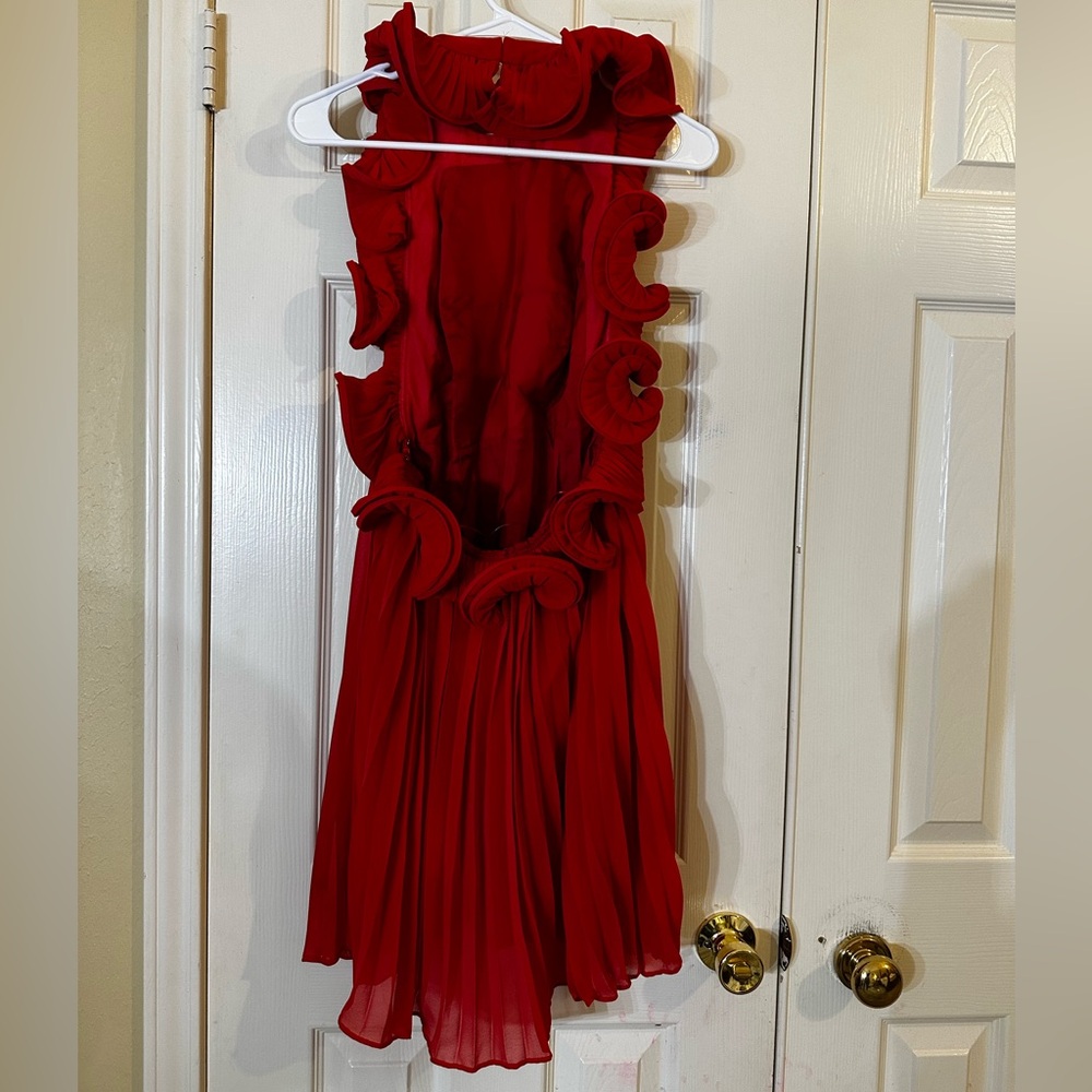 AMUR Mimi Ruffled Pleated Mini Dress - Picture 5 of 9
